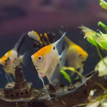 Maison d'hôtes M&j 3*