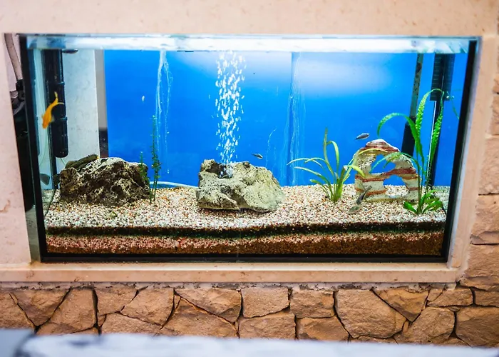 Pensionat M & J Korčula