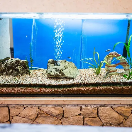 M & J Корчула